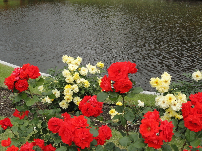 img0087.jpg