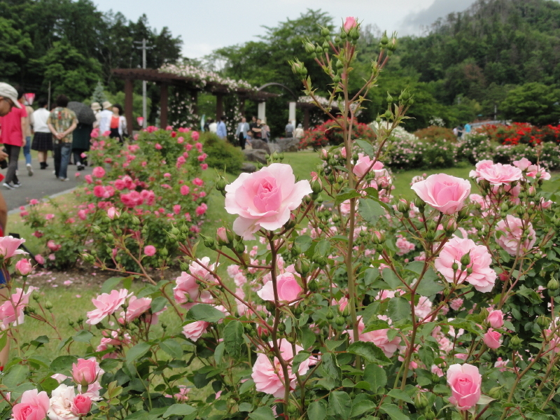 img0090.jpg