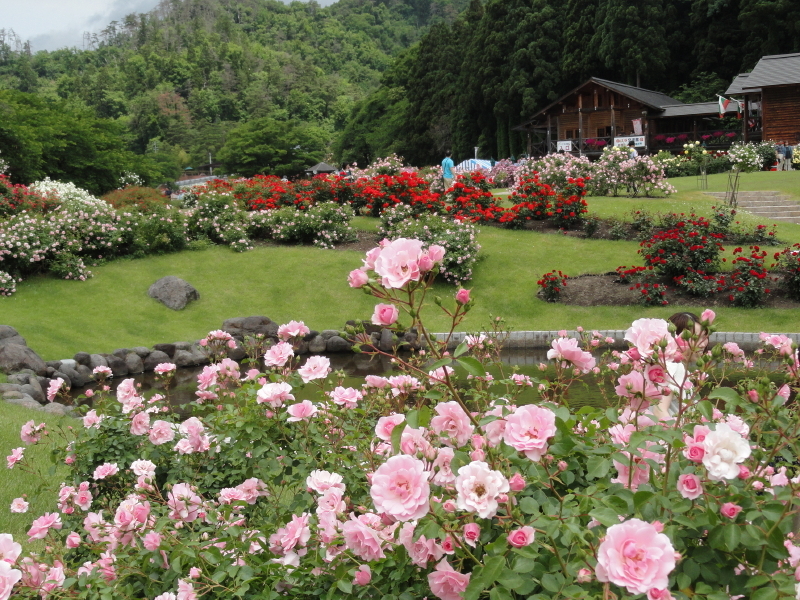 img0092.jpg