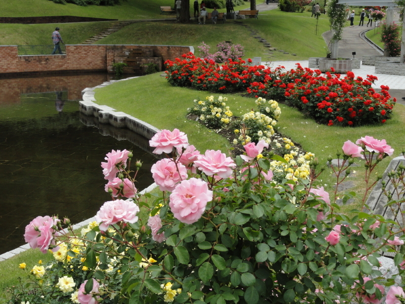 img0093.jpg