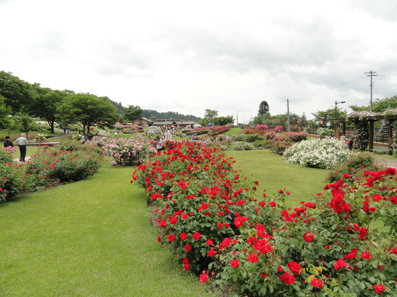 img0103.jpg