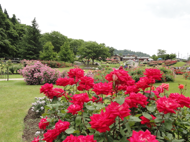 img0106.jpg