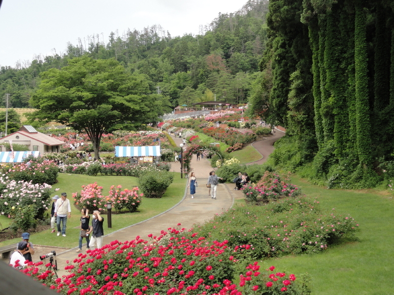 img0110.jpg