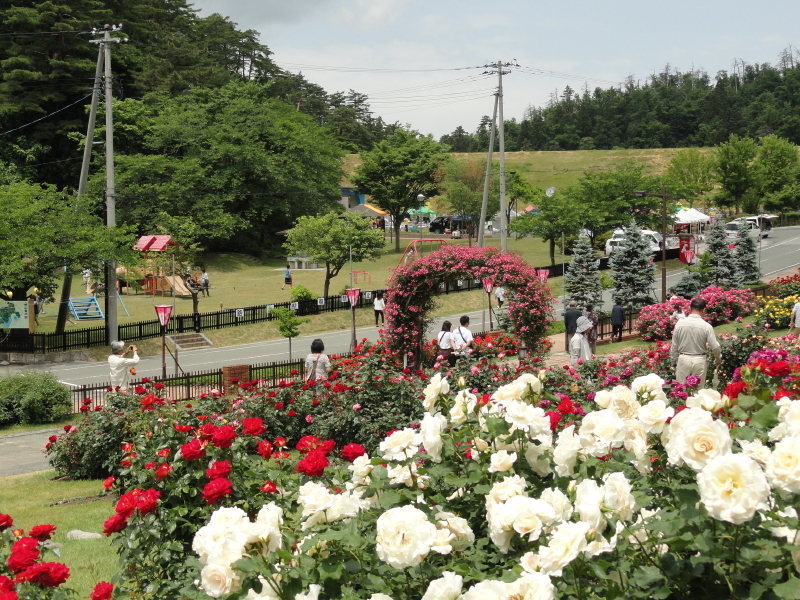 img0115.jpg