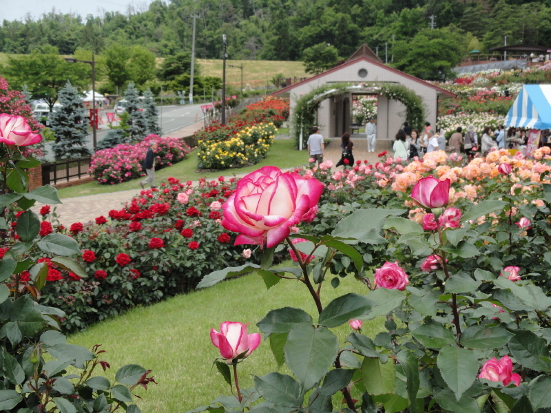 img0125.jpg