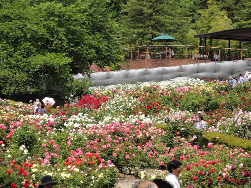 img0135.jpg