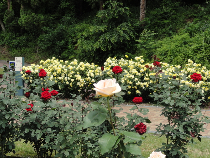 img0137.jpg