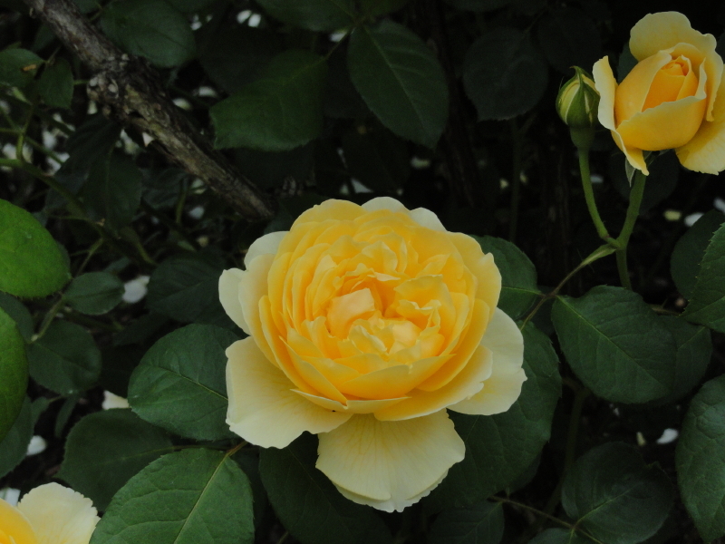 img0150.jpg