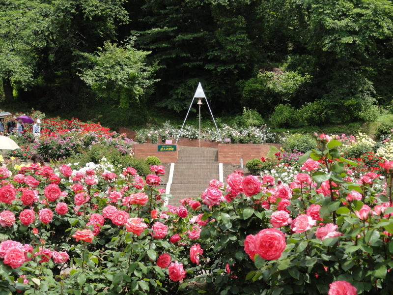 img0156.jpg