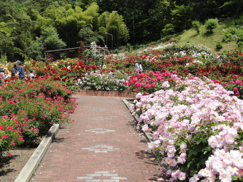 img0173.jpg