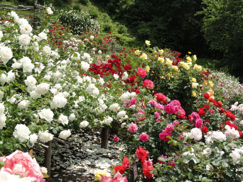 img0177.jpg