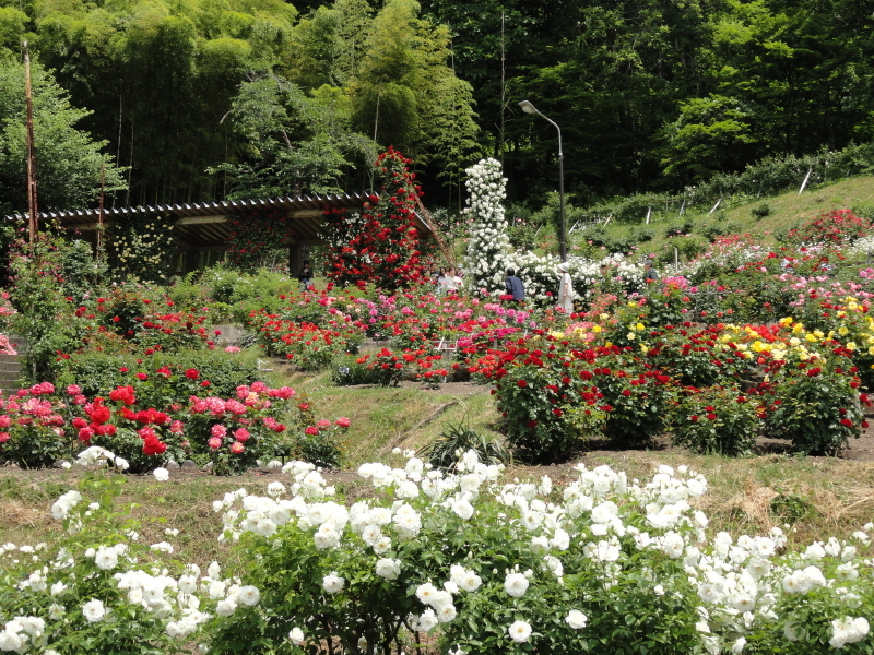 img0179.jpg