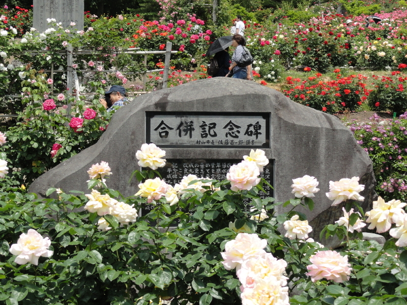 img0182.jpg