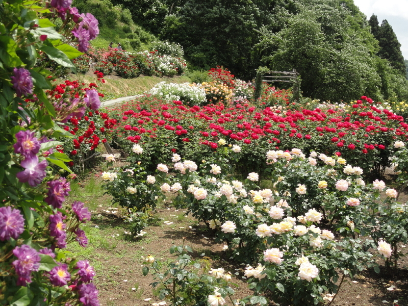 img0187.jpg