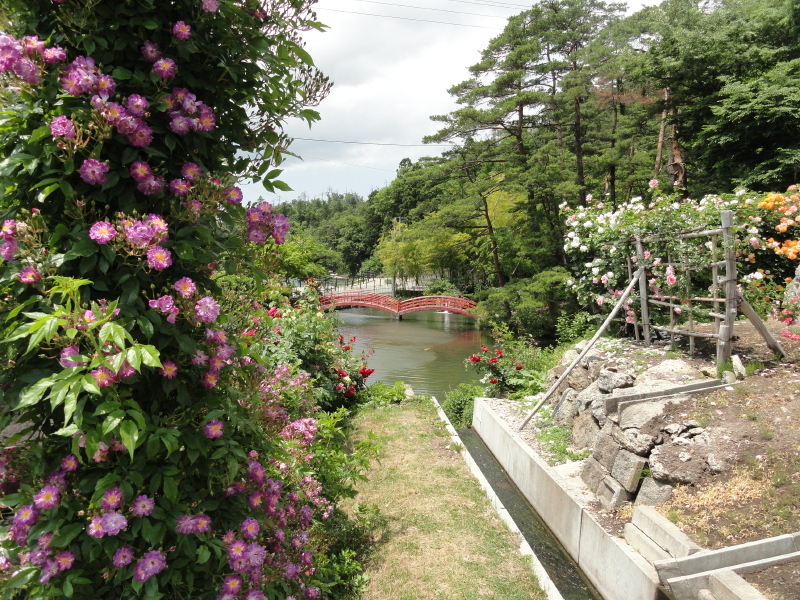 img0188.jpg