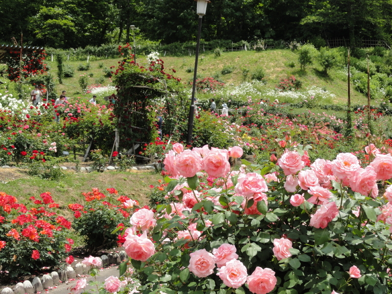 img0190.jpg