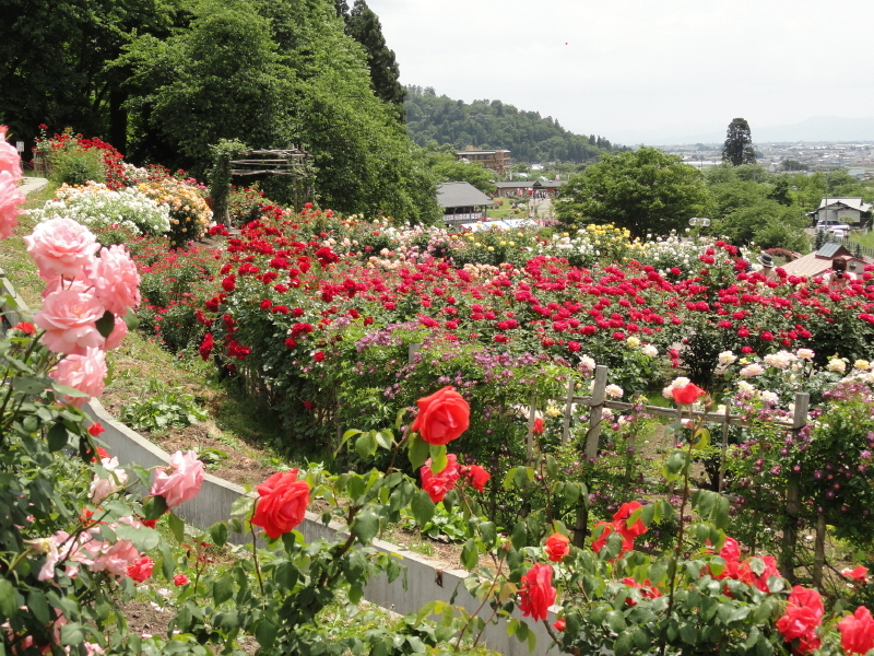 img0191.jpg