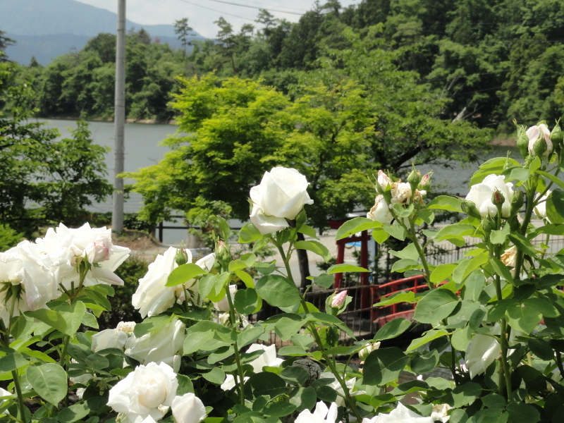 img0193.jpg
