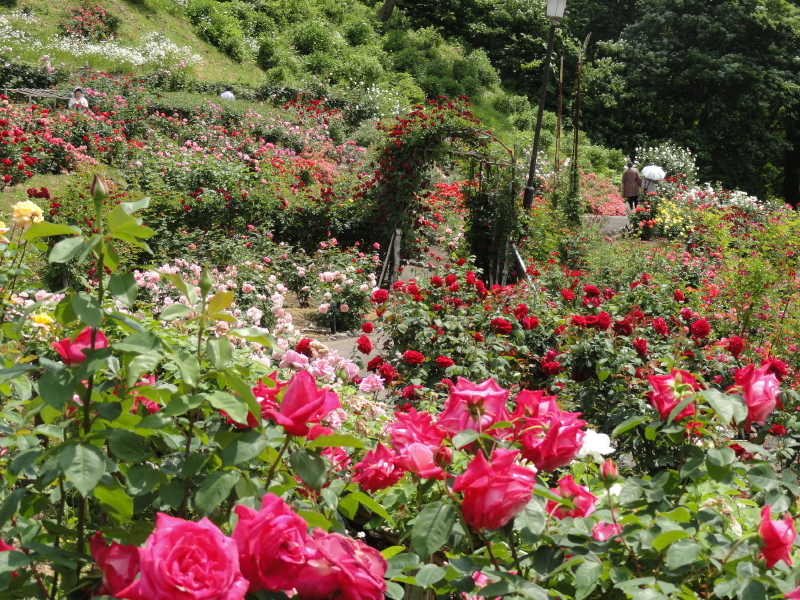 img0195.jpg
