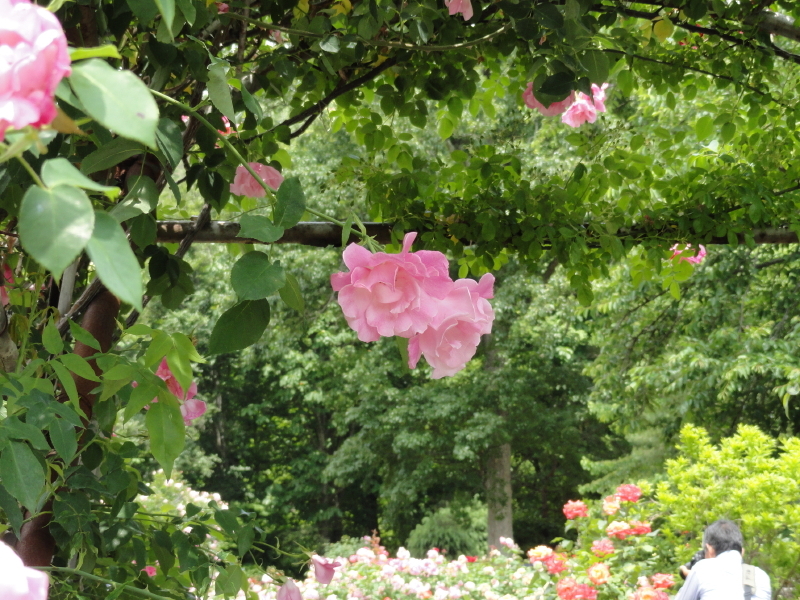 img0198.jpg