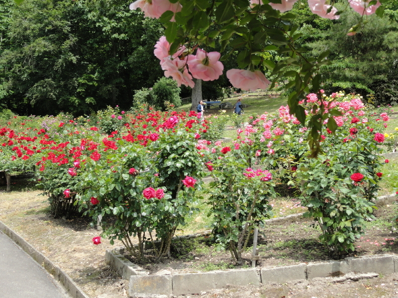 img0203.jpg