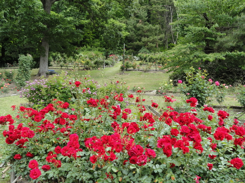 img0207.jpg