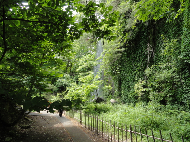 img0208.jpg