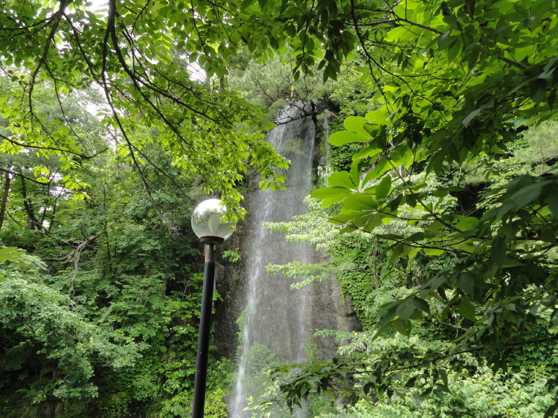 img0209.jpg