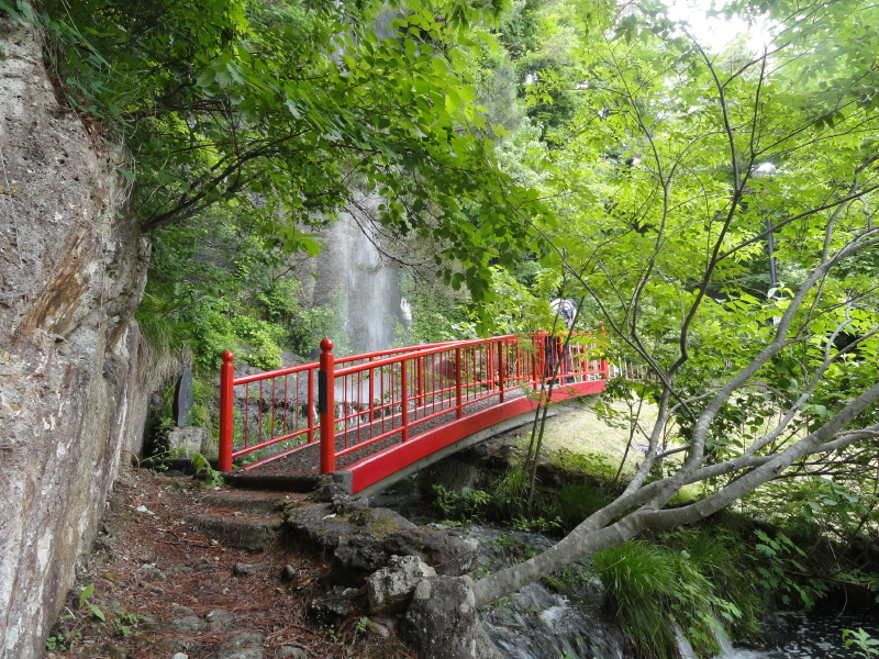 img0217.jpg