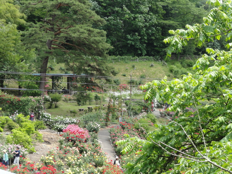 img0220.jpg