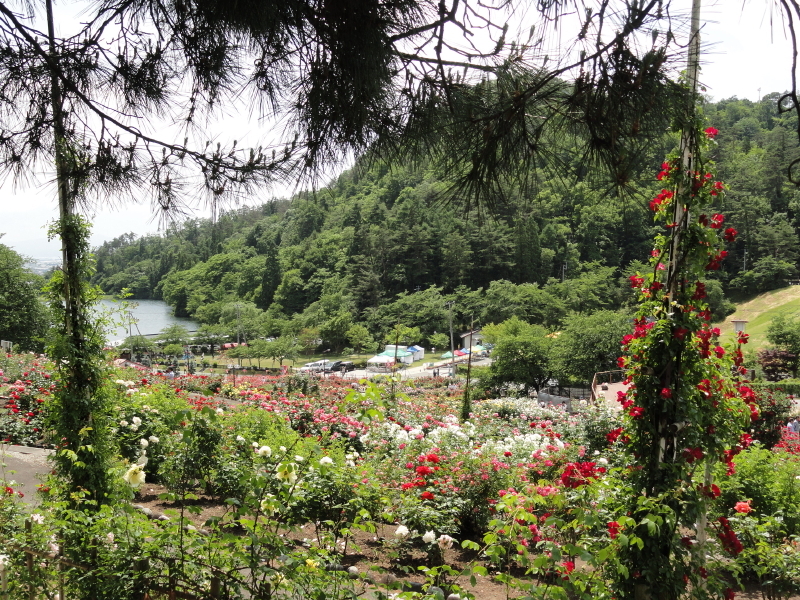 img0229.jpg