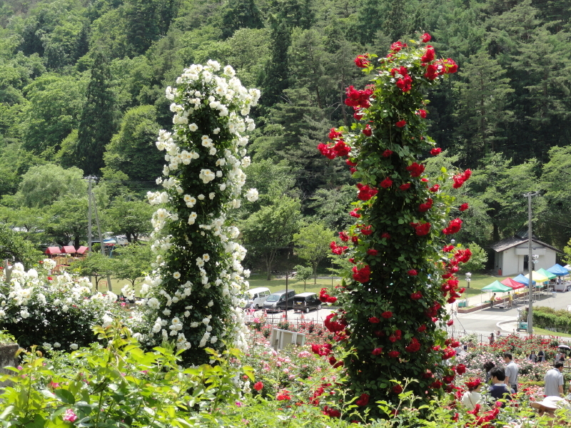img0233.jpg
