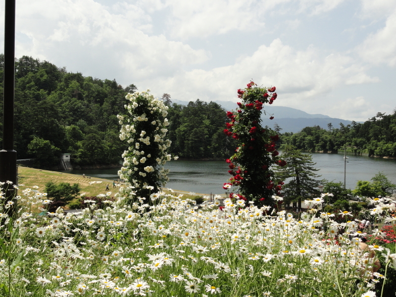 img0235.jpg