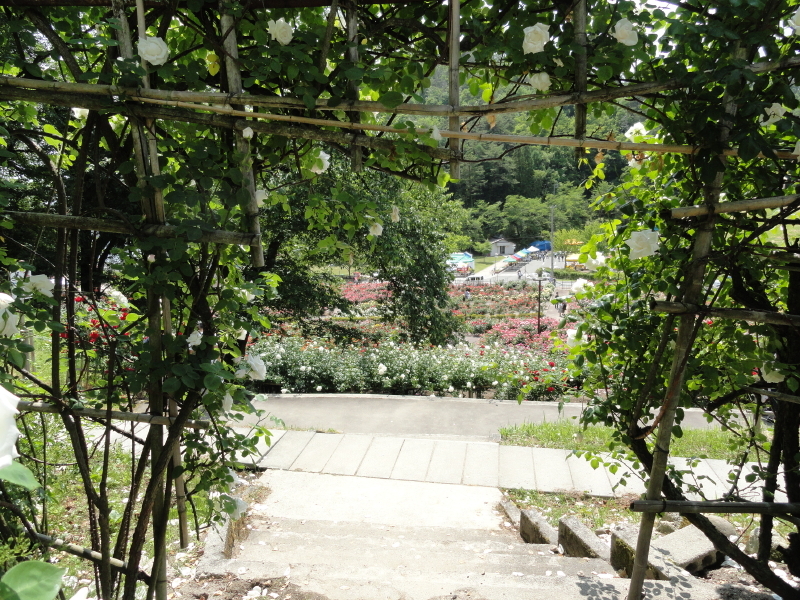 img0242.jpg