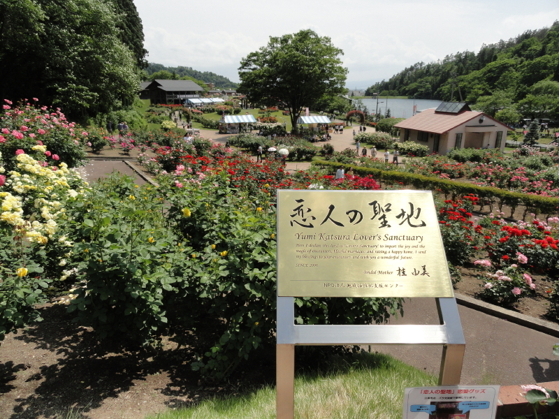 img0253.jpg