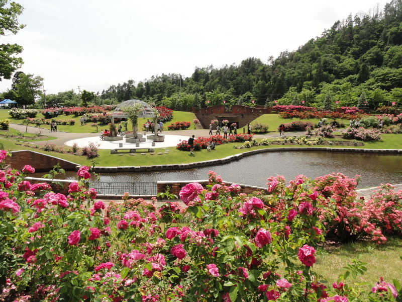 img0261.jpg