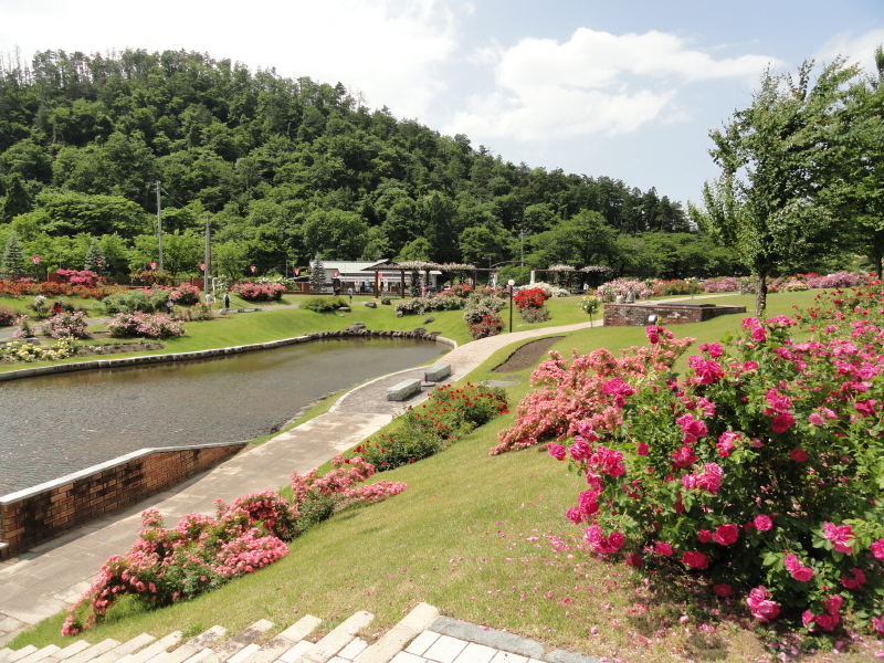 img0263.jpg