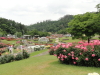 img0005.jpg