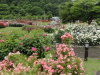 img0011.jpg