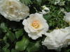 img0021.jpg