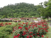 img0029.jpg