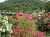 img0030.jpg