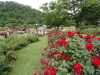 img0031.jpg