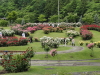 img0034.jpg