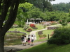 img0038.jpg