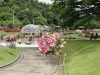 img0040.jpg