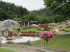 img0041.jpg