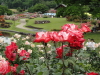 img0045.jpg