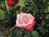 img0047.jpg