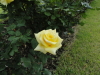 img0054.jpg
